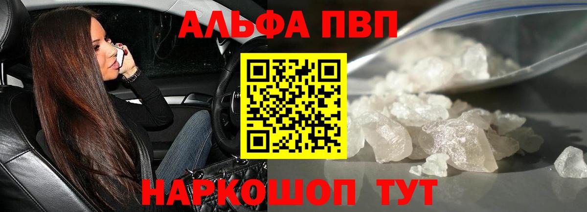 A PVP СК Архангельск