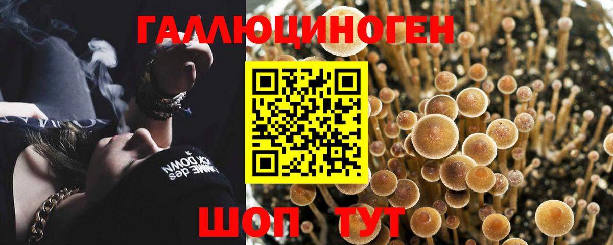 Псилоцибиновые грибы Magic Shrooms  Вход с VPN  Архангельск 