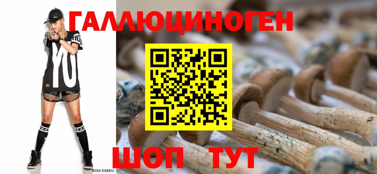 Псилоцибиновые грибы мухоморы Архангельск